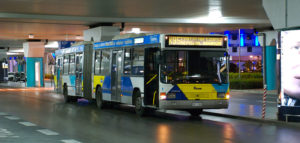 buses